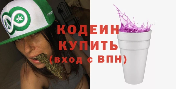 хмурый Бородино