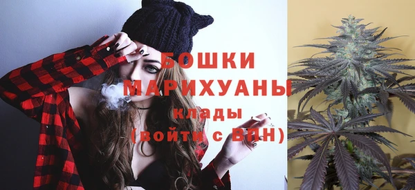 ГАЛЛЮЦИНОГЕННЫЕ ГРИБЫ Сосновый Бор