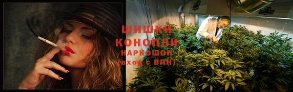хмурый Бородино